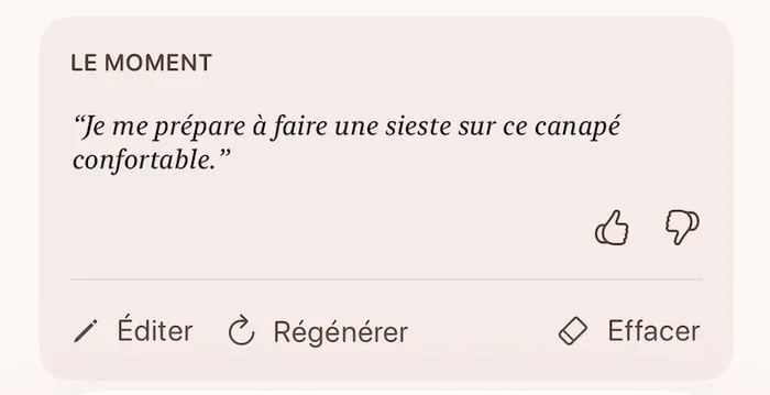 Le détail d'un souvenir dans Pawmories : une légende écrite à la première personne, sous le titre « Le moment »